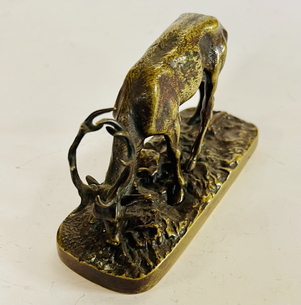 Bronze Stag-photo-4